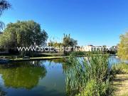 TERRENO EN VENTA EN EL CAMPANARIO