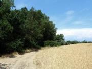 Terreno en Venta en El Casar de Escalona