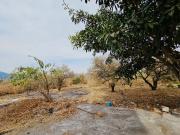 Terreno en venta en El Caudillo del Sur, Yautepec, Morelos