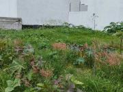 Terreno en venta en El Condado, Corregidora, Querétaro