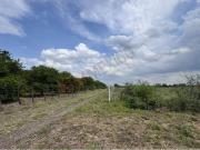 Terreno en venta en El Fraile, Montemorelos, Nuevo León