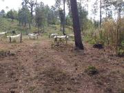 Terreno en venta en El Fresno, Cancún, Estado De México