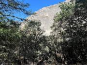 TERRENO EN VENTA EN EL JONUCO