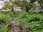 Terreno en venta en el mpio de Tepoztlan!