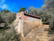 Terreno en Venta en El Perelló