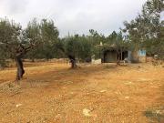 Terreno en Venta en El Perelló
