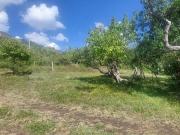 Terreno en venta en el poblado de Amatlán