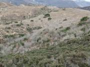 Terreno en Venta en El Sauzal