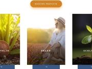 Terreno en venta en El Sauzal, Ensenada, Baja California