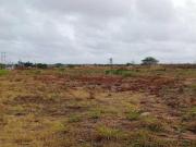 Terreno en Venta en El Tigre Anzoátegui