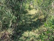 TERRENO en VENTA en EL URO