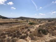 Terreno en Venta en Elche Elx