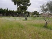Terreno en Venta en Elche Elx