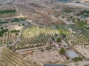 Terreno en Venta en Elche Elx