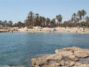 Terreno en Venta en Elche Elx