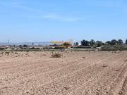 Terreno en Venta en Elche Elx