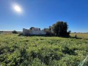 Terreno en Venta en Elche Elx