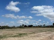 Terreno en Venta en Elche Elx