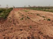 Terreno en Venta en Elche Elx