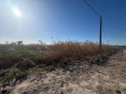 Terreno en Venta en Elche Elx