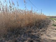 Terreno en venta en Elche, La Hoya Daimes El Derramador