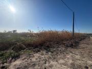 Terreno en venta en Elche, La Hoya Daimes El Derramador