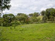 Terreno en Venta en Emiliano Zapata, Arenal, Jalisco