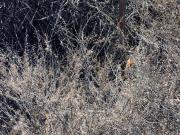 Terreno en Venta en Ensenada Baja California