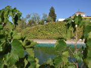 Terreno en Venta en Espartinas