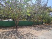 TERRENO EN VENTA, EN ESQUINA 2000 MTS, ATRAS DE INIFECH,...