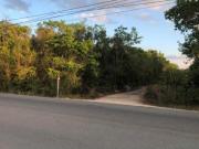 TERRENO EN VENTA EN ESQUINA 5000 M2 SOBRE AV ROGELIO...
