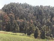 TERRENO EN VENTA EN EX HACIENDA SAN LUCAS