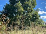 Terreno en venta en Exaltación De La Cruz, Barrio Los Pinos