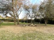 Terreno en Venta en Fincas de Iraola II