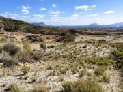 Terreno en Venta en Fortuna