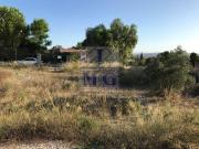 Terreno en Venta en Fortuna