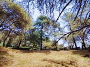Terreno en Venta en Fracc. Hacienda de San Martin Ocoyoacac