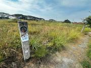 TERRENO EN VENTA EN FRACC. PALMA DE CAMINO REAL COLIMA