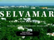 Terreno en venta en Fracc Selvamar, Cluster Uva del Mar...