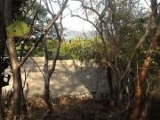 Terreno en venta en Fraccionamiento Campo la Leona,...