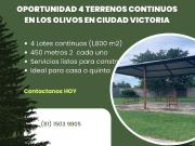 Terreno en Venta en Fraccionamiento Cerrada Los Olivos