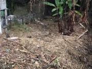 Terreno en Venta en Fraccionamiento Jardines de...