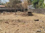 Terreno en venta en Fraccionamiento Las Fincas, Jiutepec