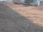 TERRENO EN VENTA EN FRACCIONAMIENTO MAGNOLIAS