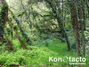 TERRENO EN VENTA EN FRACCIONAMIENTO TLALPUENTE, SAN...