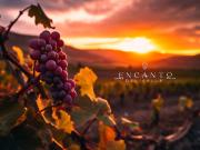 Terreno en venta en Francisco Zarco, Ensenada, Baja...