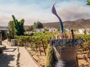 Terreno en venta en Francisco Zarco Valle de Guadalupe,...