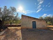 Terreno en venta en Freginals, de 20.446 m² por 43.000