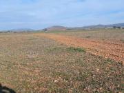 Terreno en Venta en Fuente el Fresno
