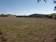 Terreno en venta en Fuente Obejuna